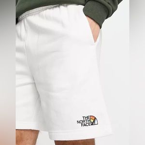 NWT! Mens North Face Never Stop Shorts sz L White fleece